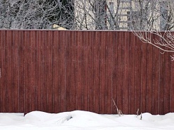 Забор под дерево с покрытием пурал